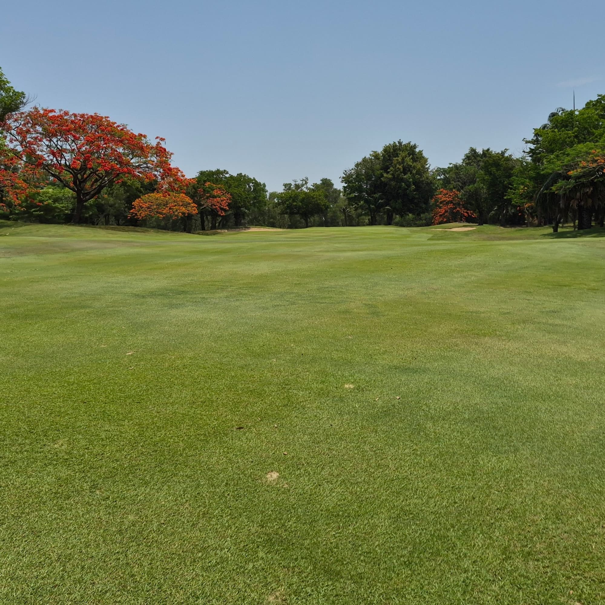 Golfer reviews for courseName