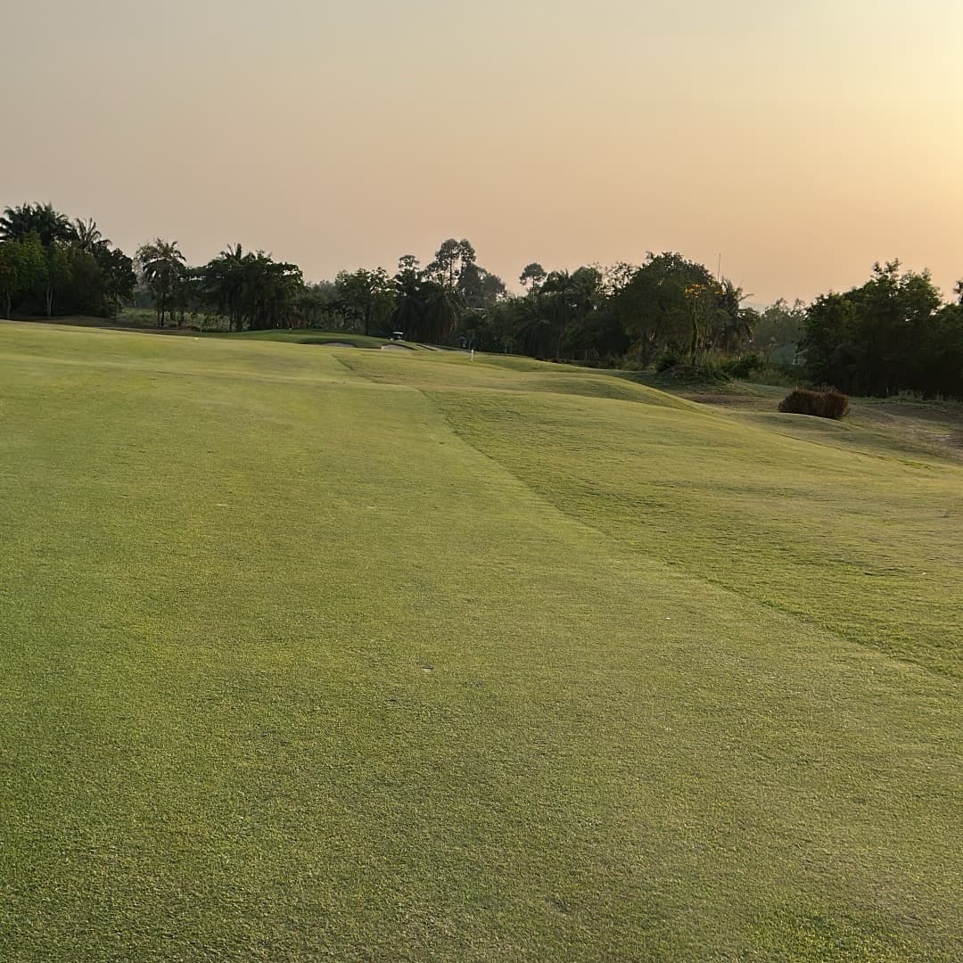 Golfer reviews for courseName