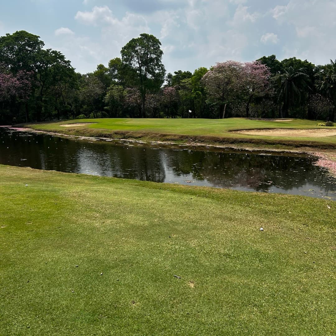 Golfer reviews for courseName