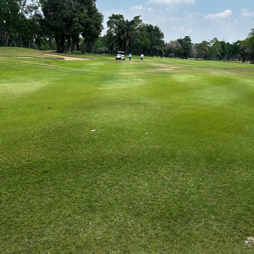 Golfer reviews for courseName