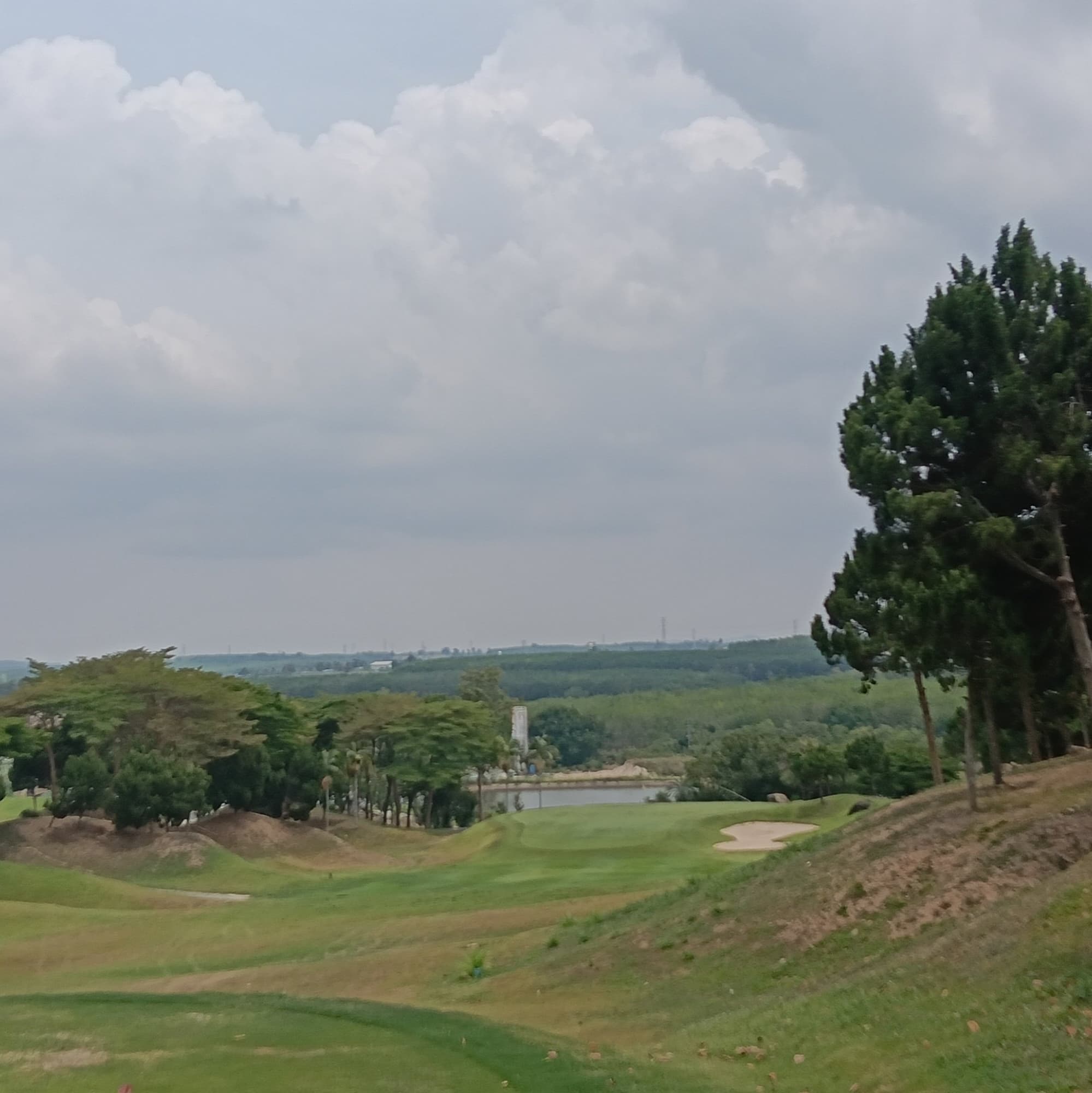 Golfer reviews for courseName