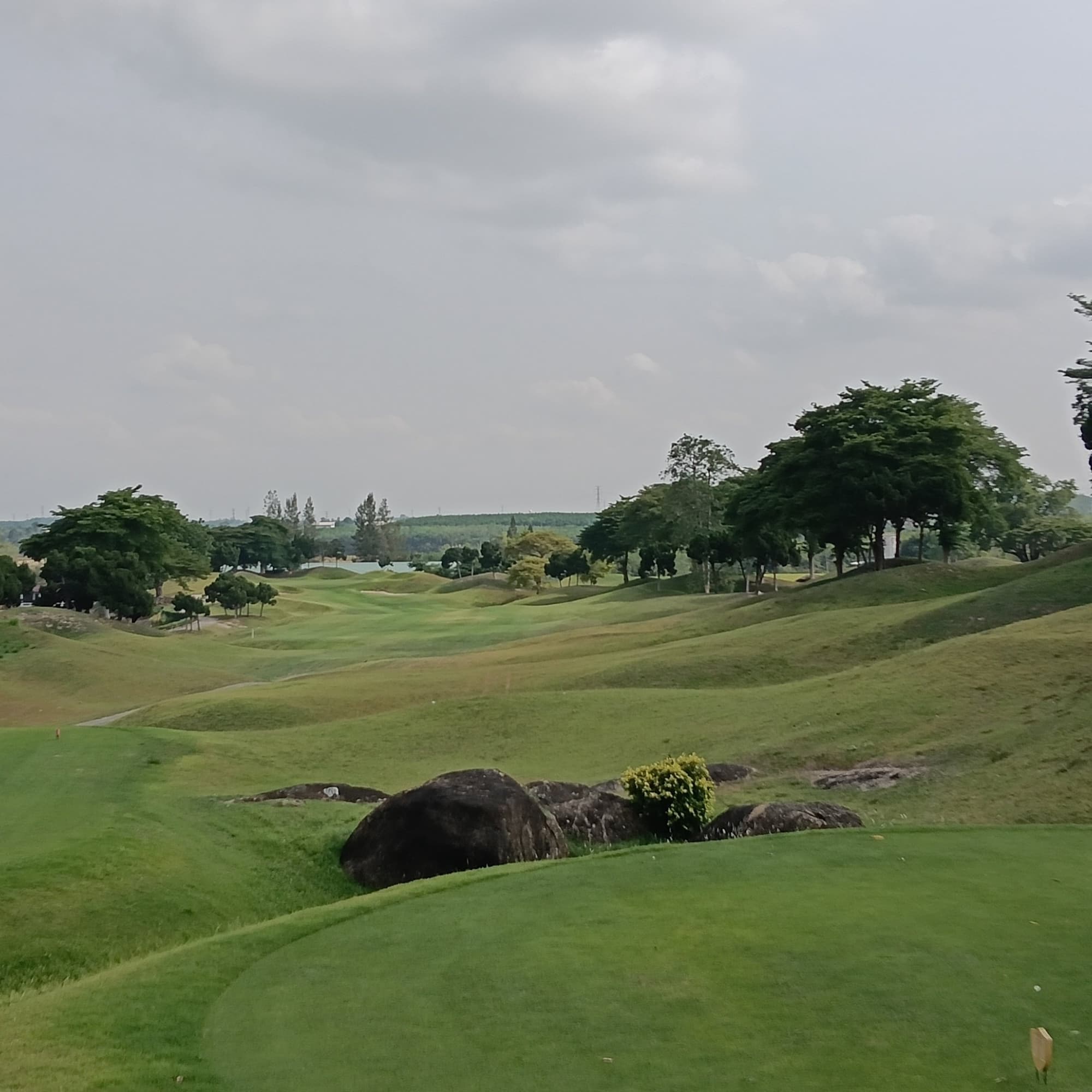 Golfer reviews for courseName