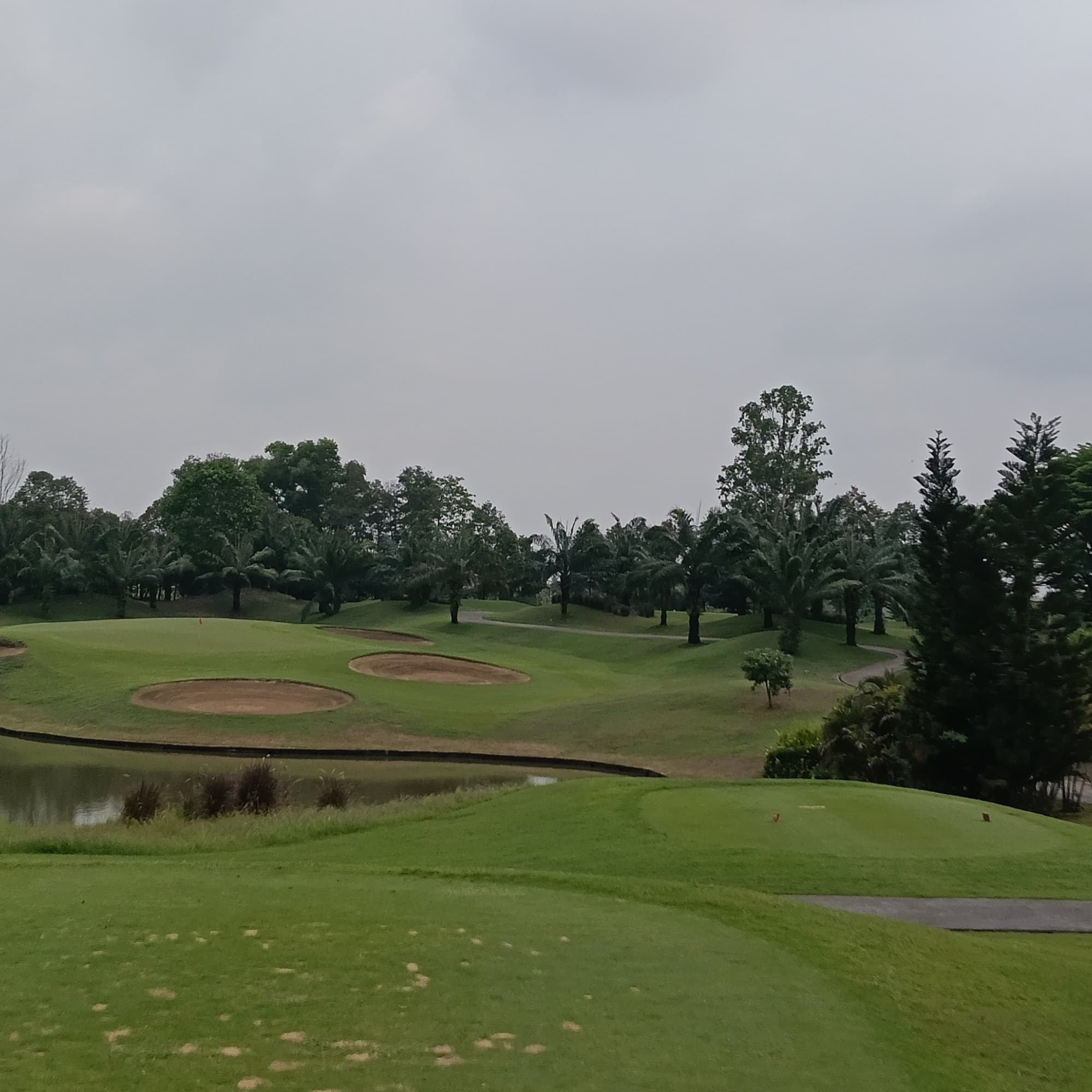 Golfer reviews for courseName
