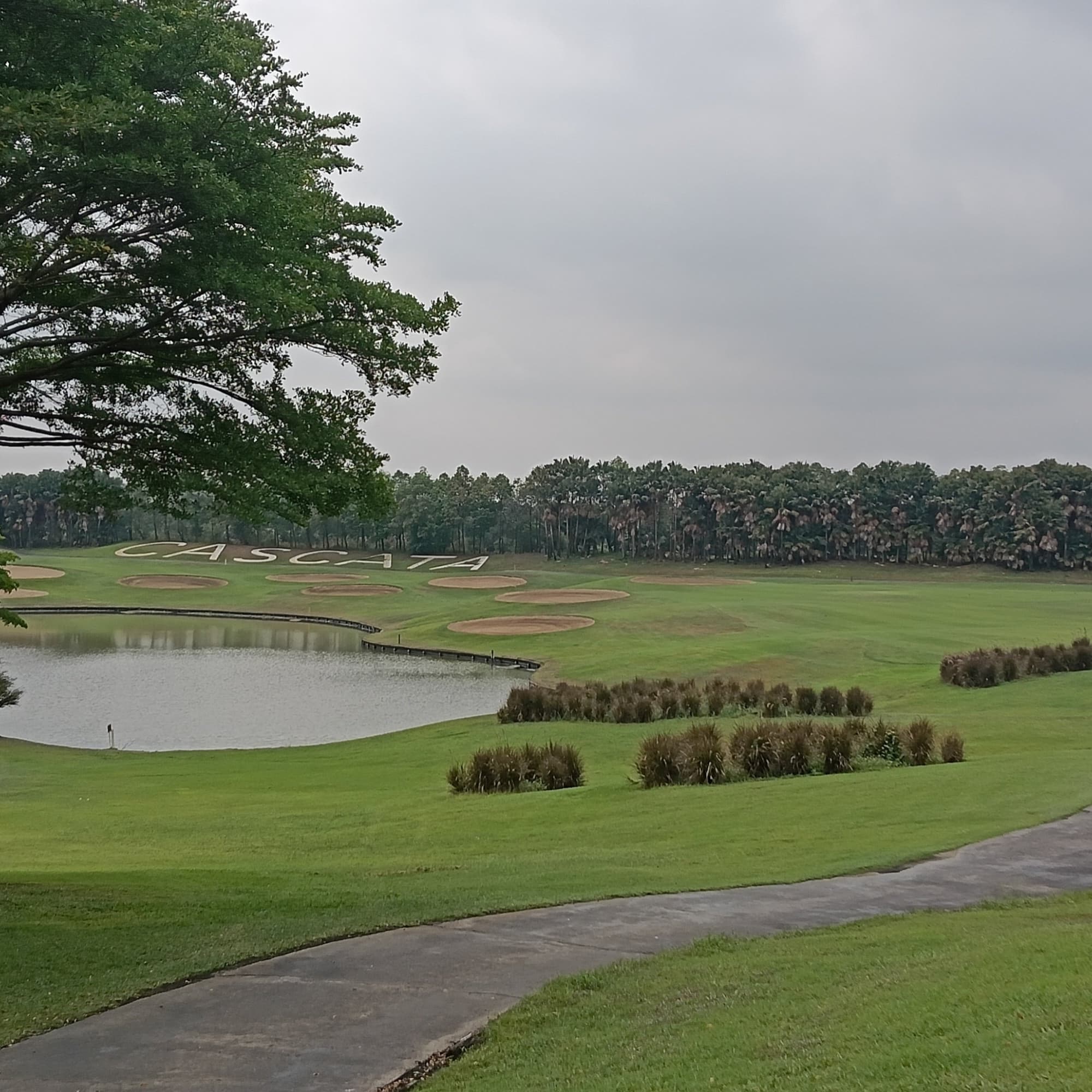 Golfer reviews for courseName
