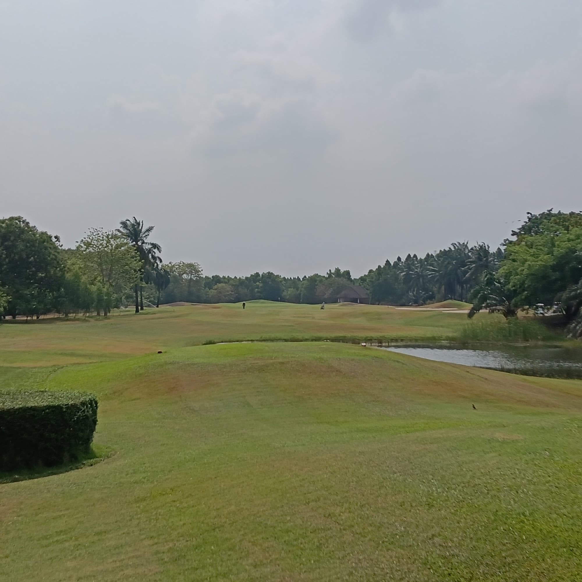 Golfer reviews for courseName