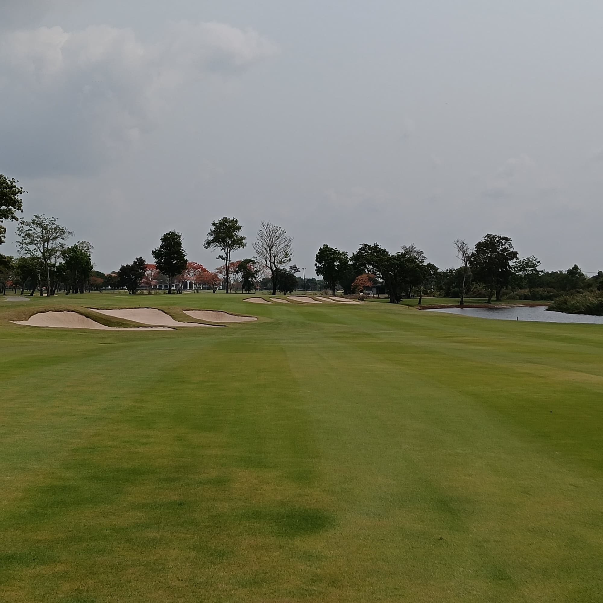 Golfer reviews for courseName