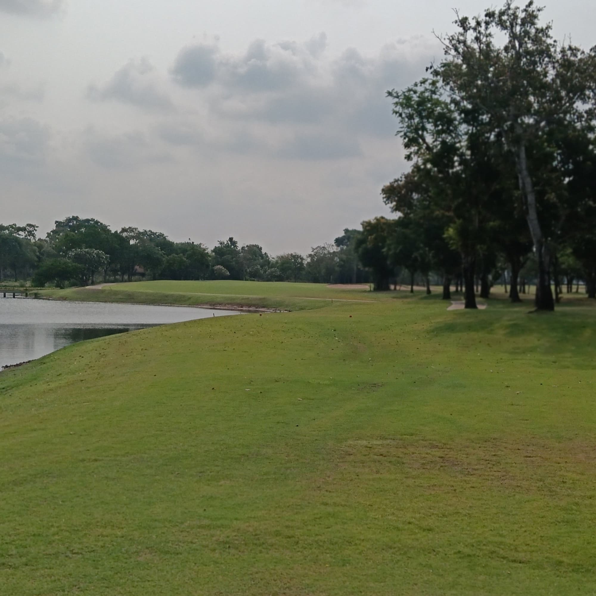 Golfer reviews for courseName