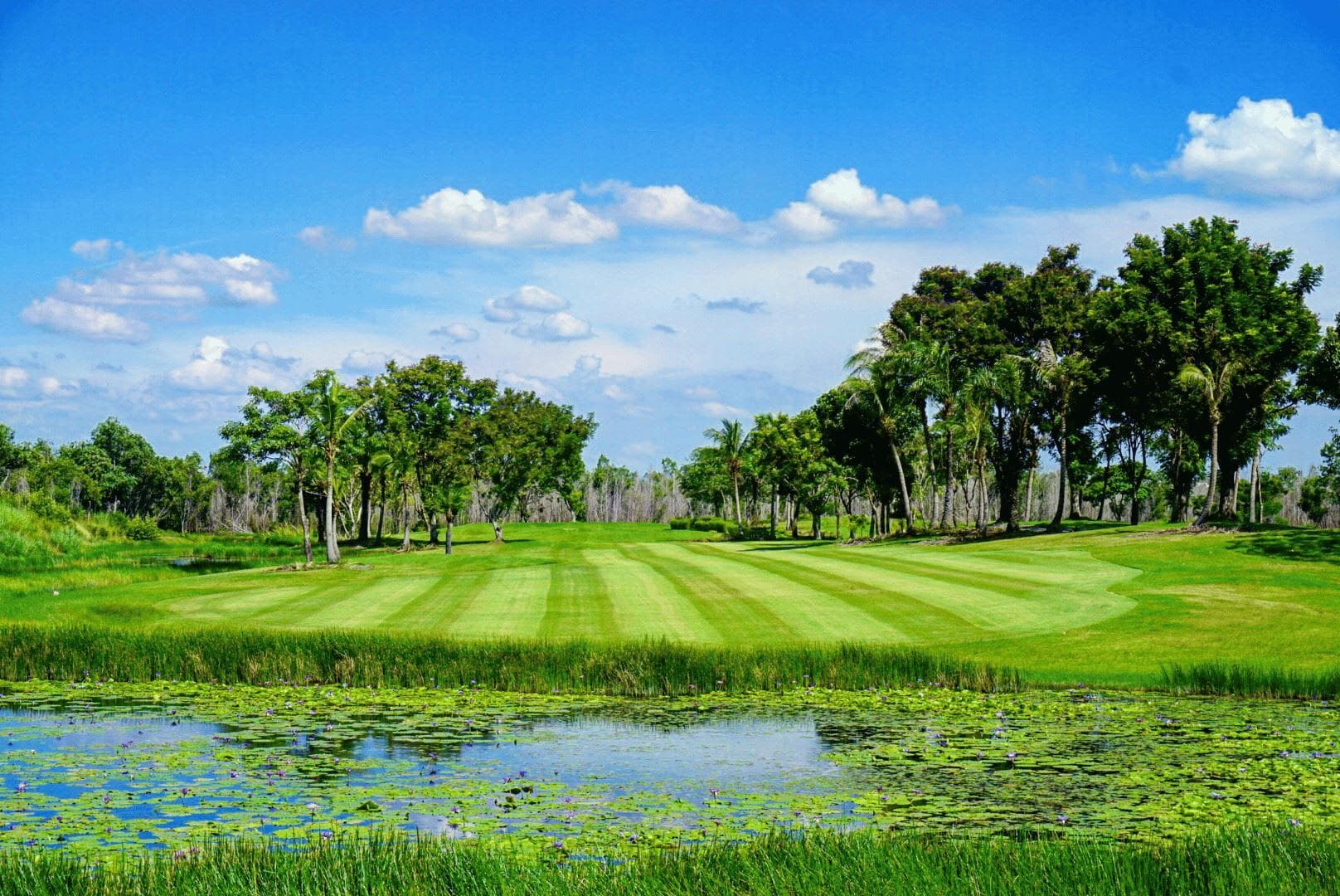 ザ ワンノイ アユタヤ(旧ワンノイプレステージ) golf course gallery - Golfdigg Thailand