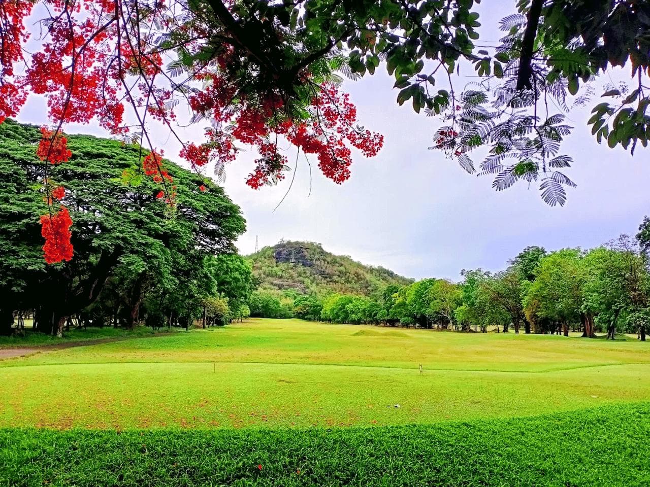 Royal Hua Hin Golf Club course scenery - book golf tee time Thailand