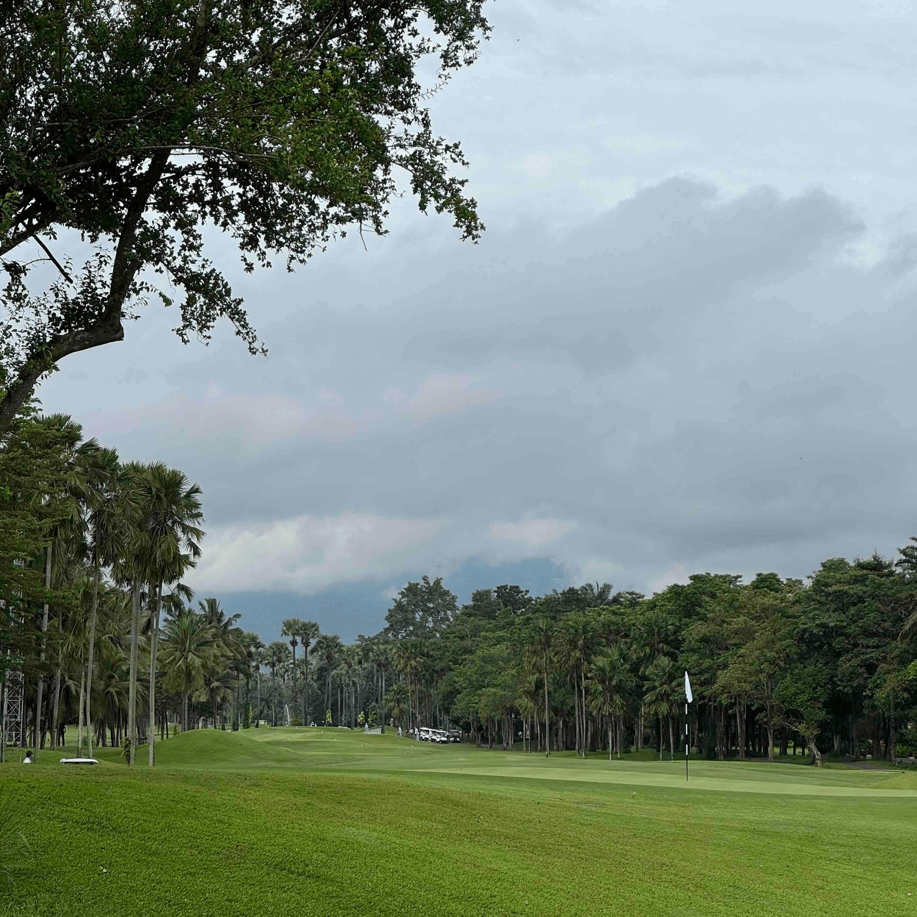 Golfer reviews for courseName