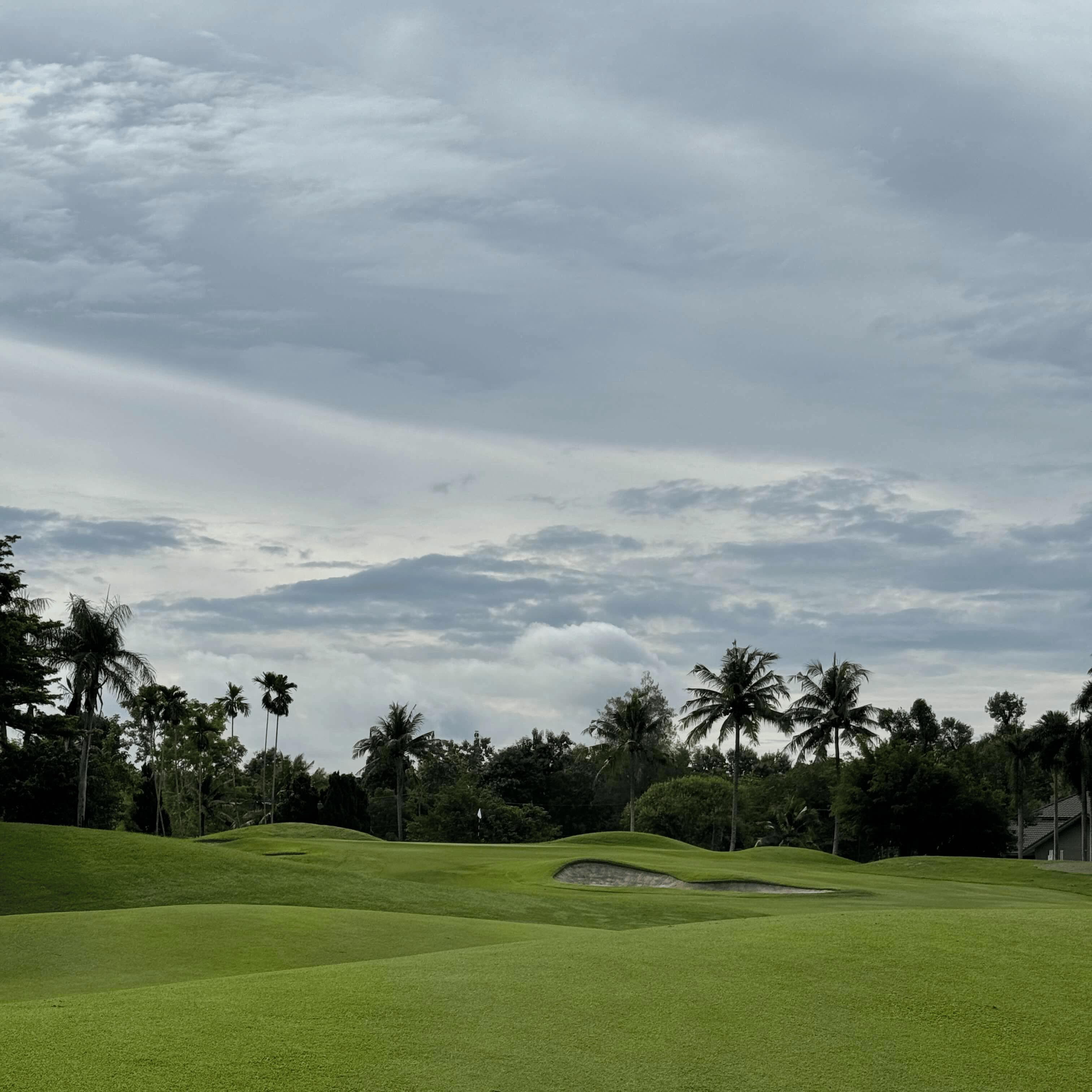 Golfer reviews for courseName