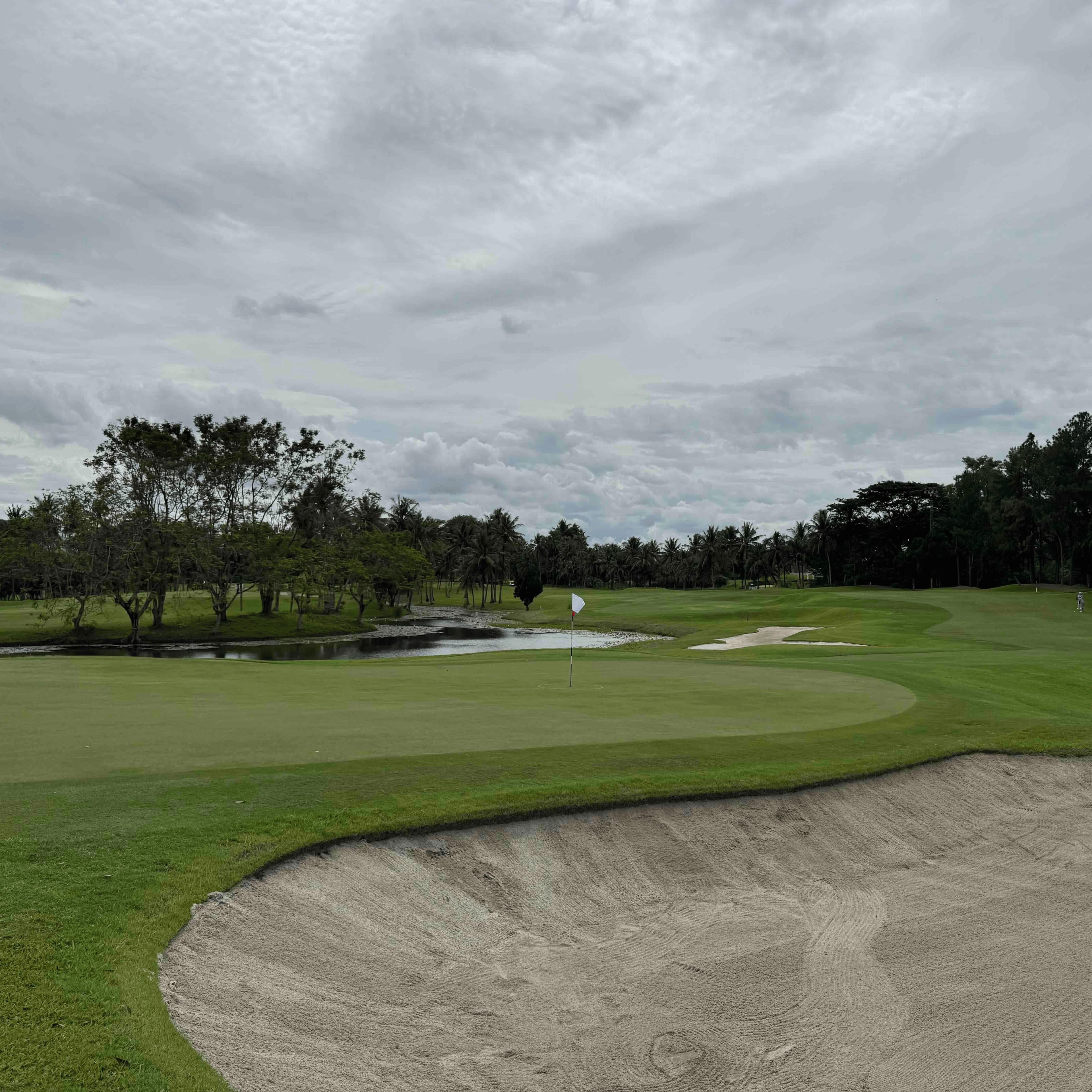Golfer reviews for courseName
