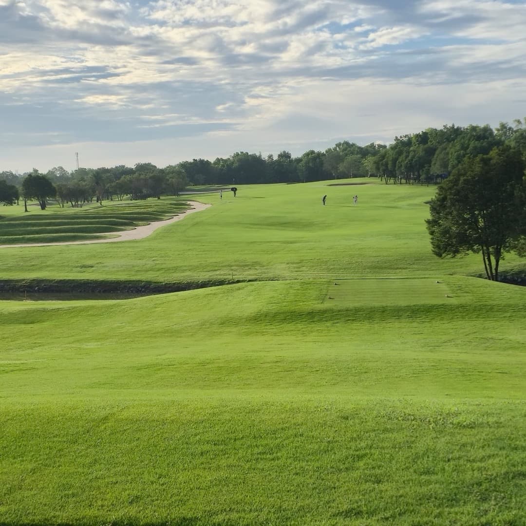 Golfer reviews for courseName