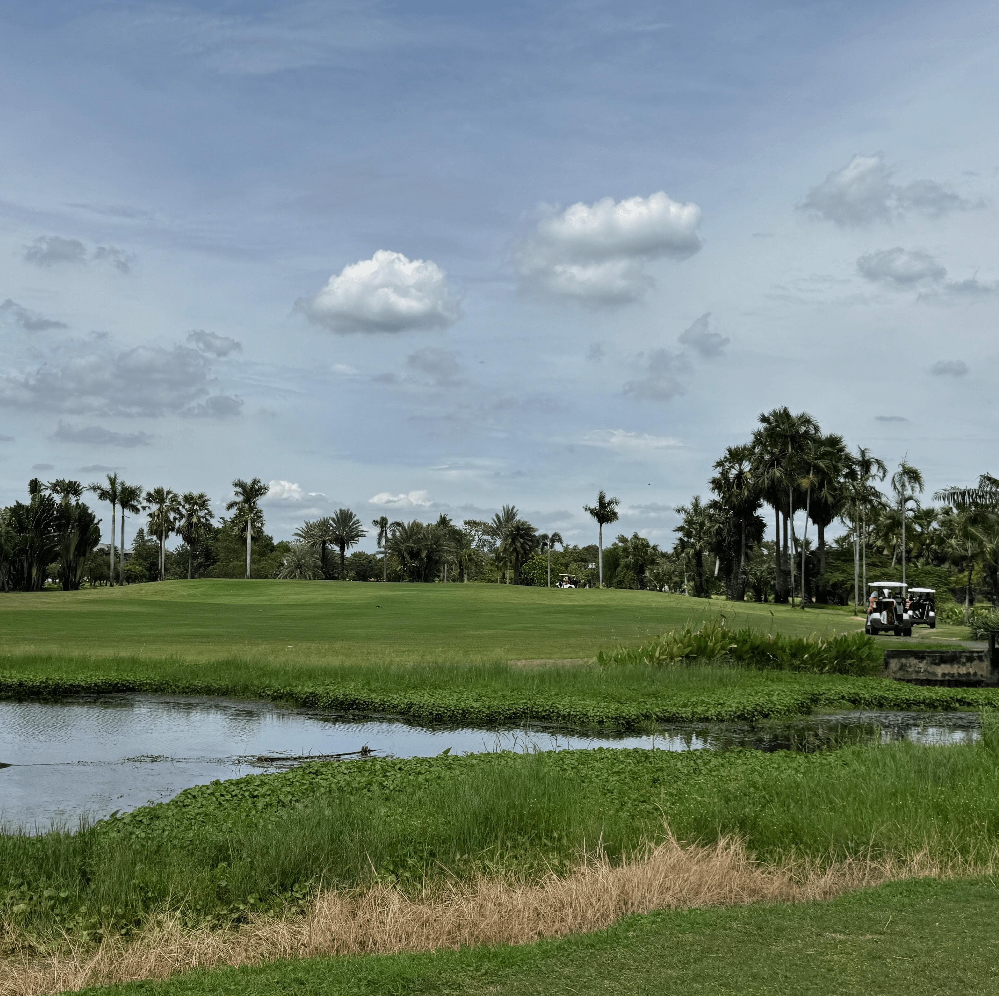 Golfer reviews for courseName