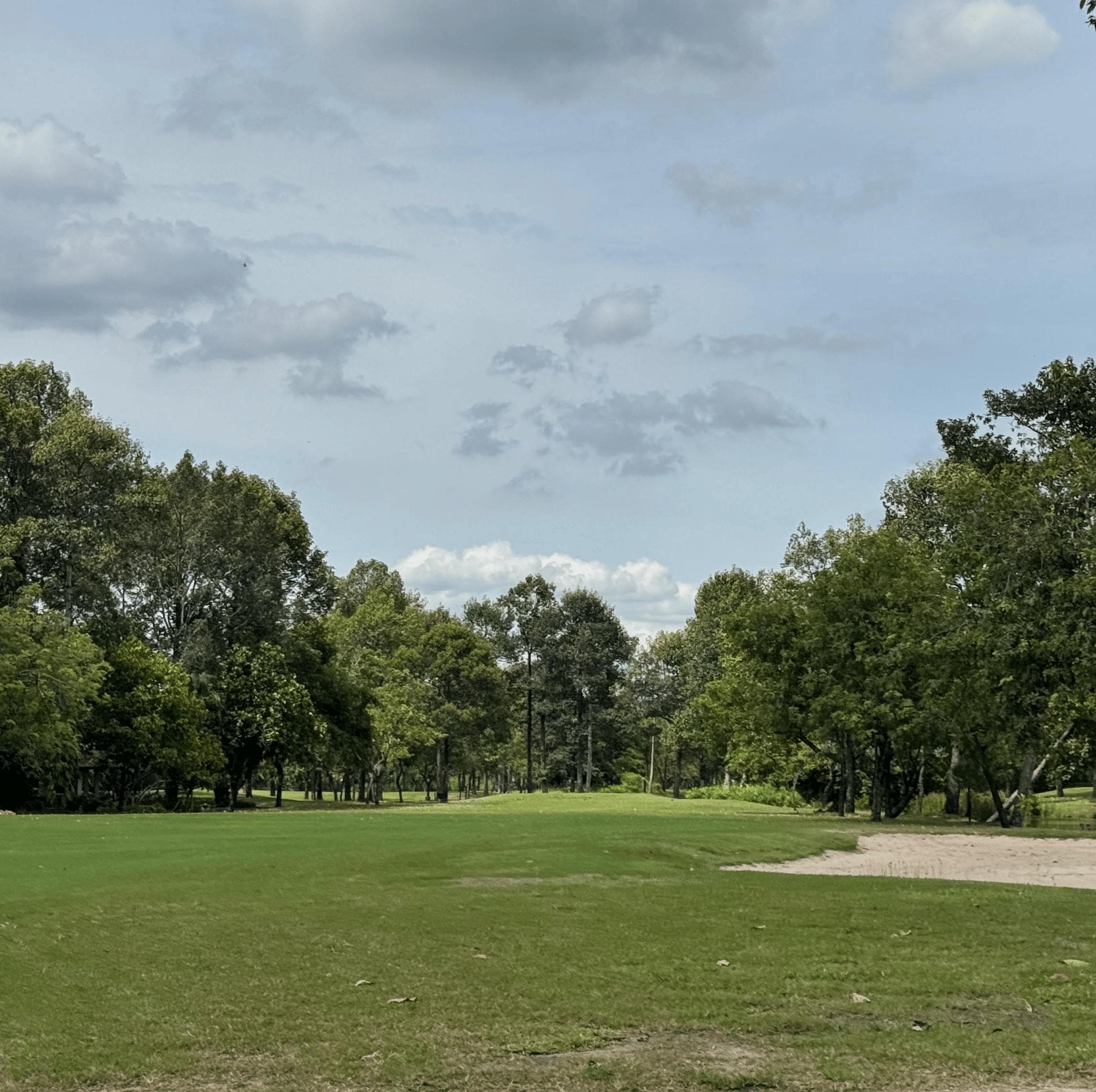 Golfer reviews for courseName