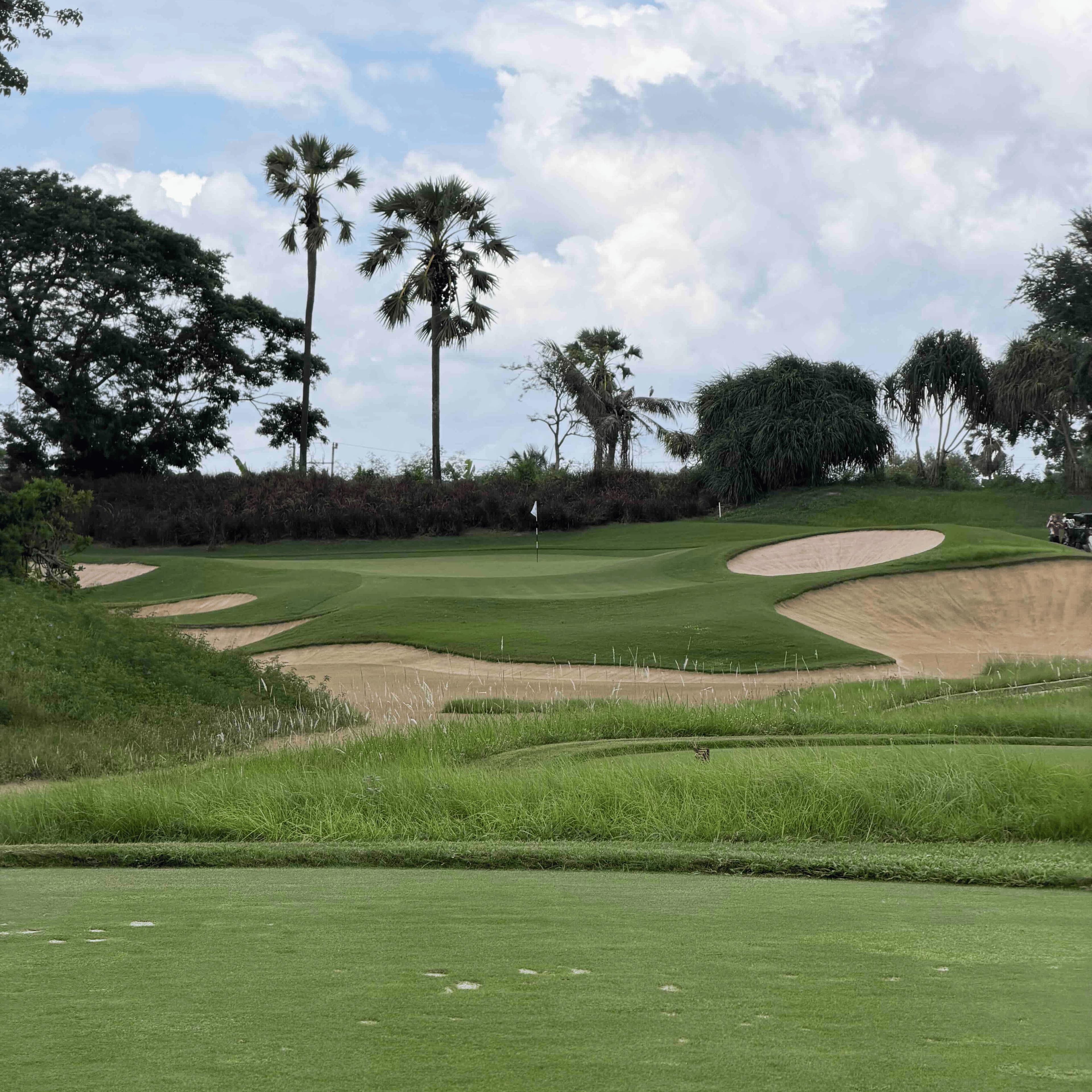 Golfer reviews for courseName