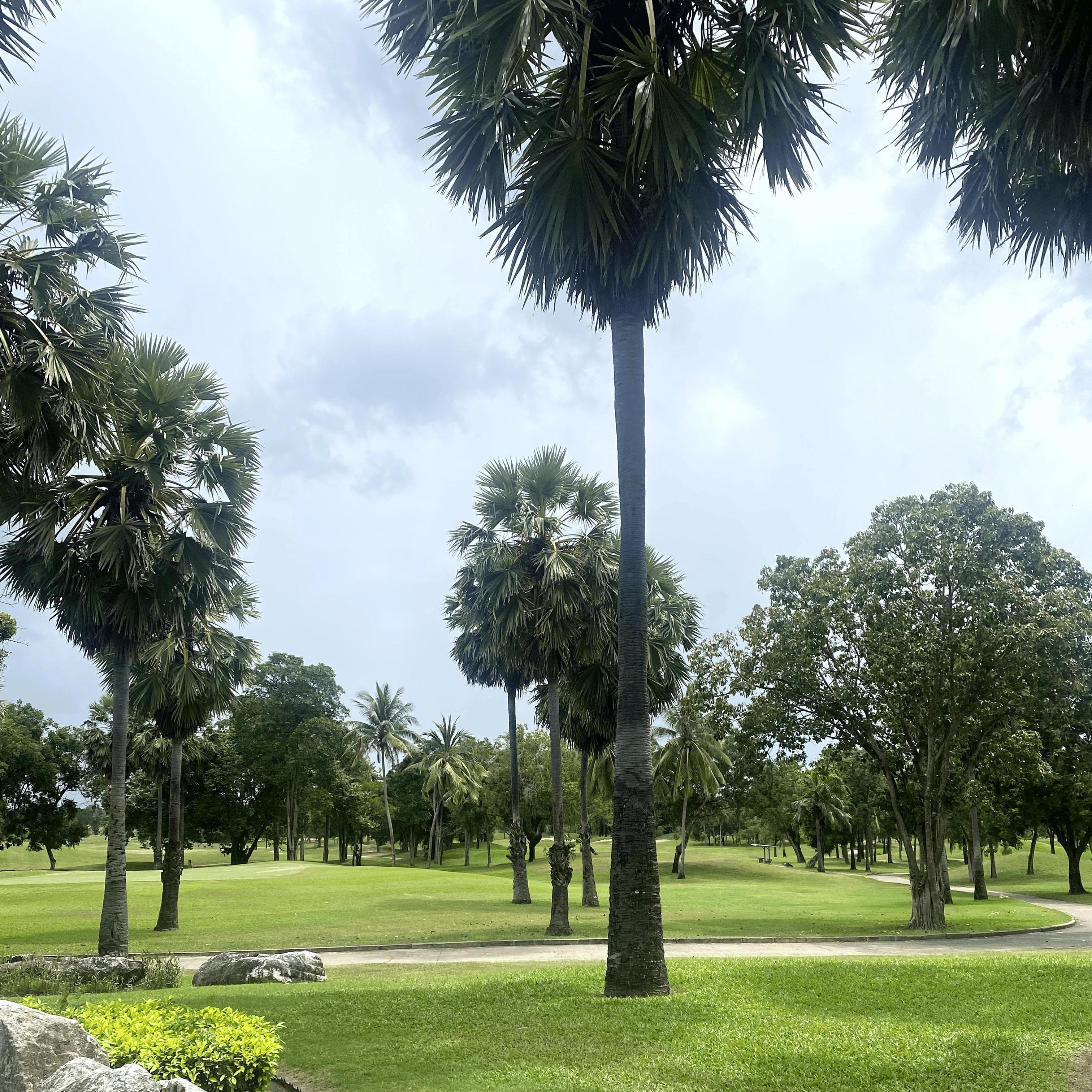Golfer reviews for courseName