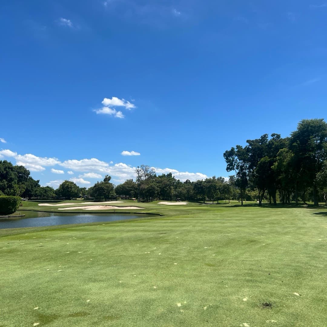 Golfer reviews for courseName