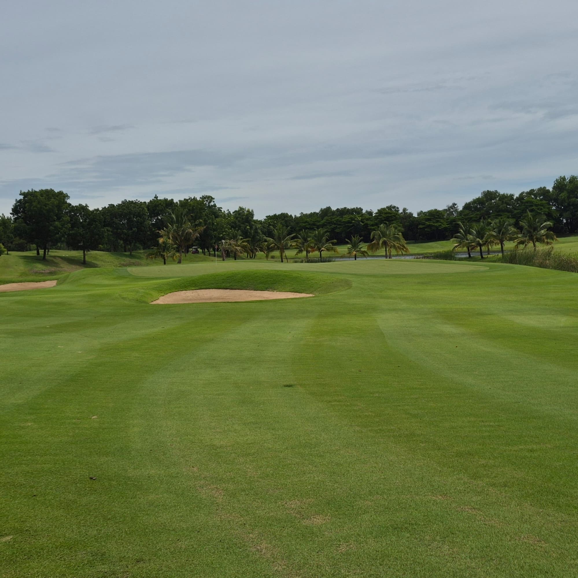 Golfer reviews for courseName