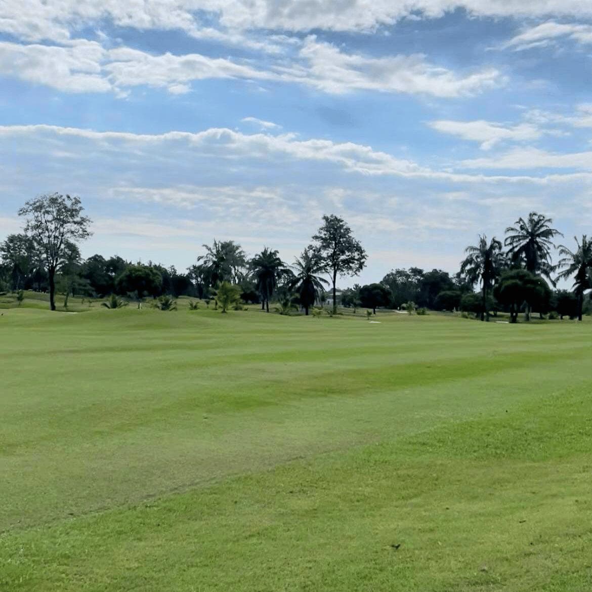 Golfer reviews for courseName