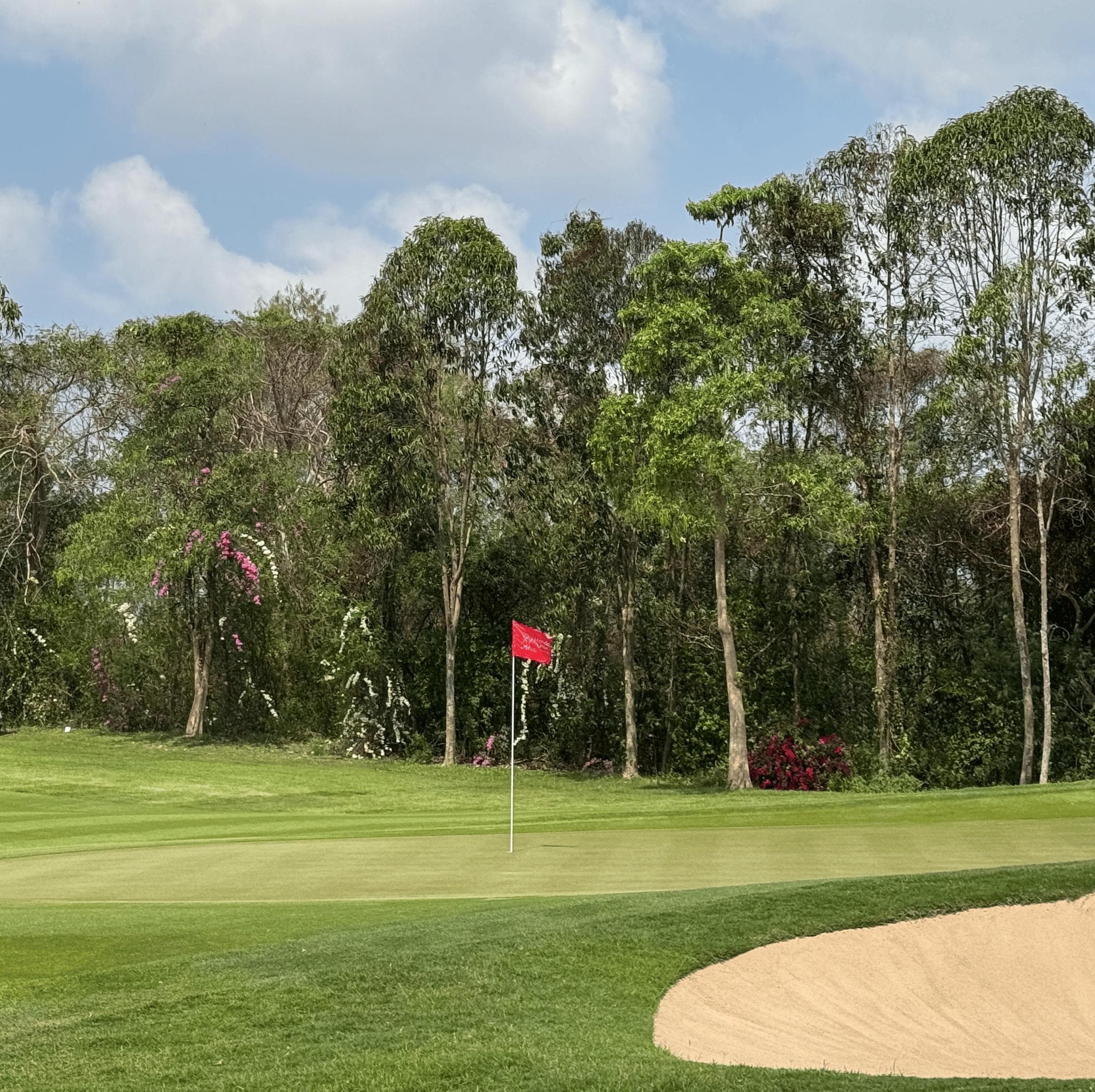 Golfer reviews for courseName