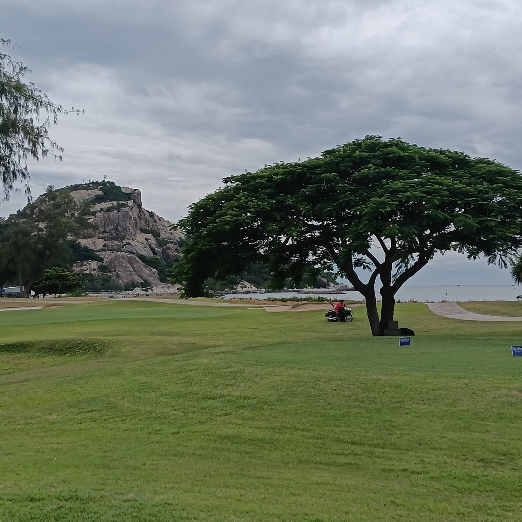 Golfer reviews for courseName