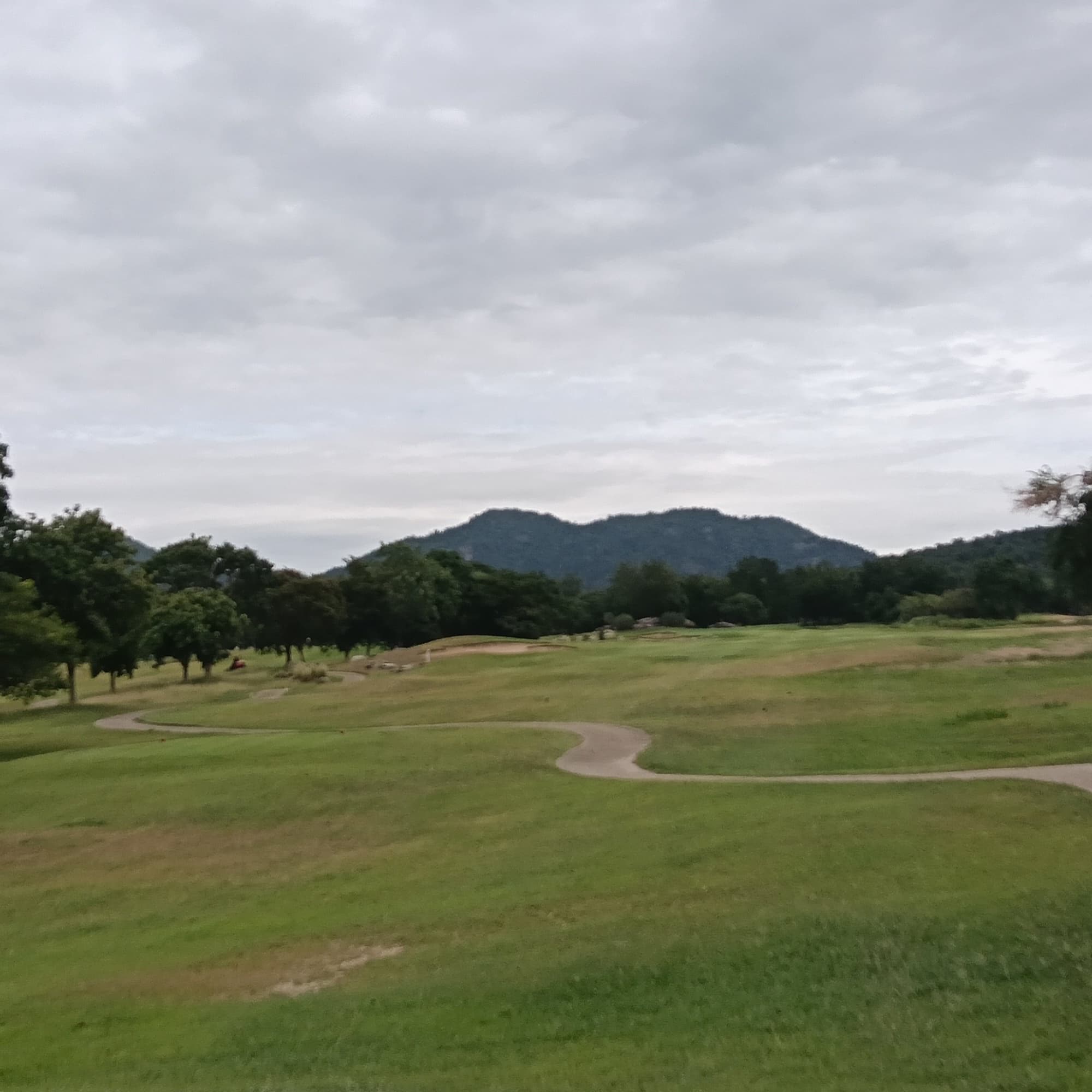 Golfer reviews for courseName