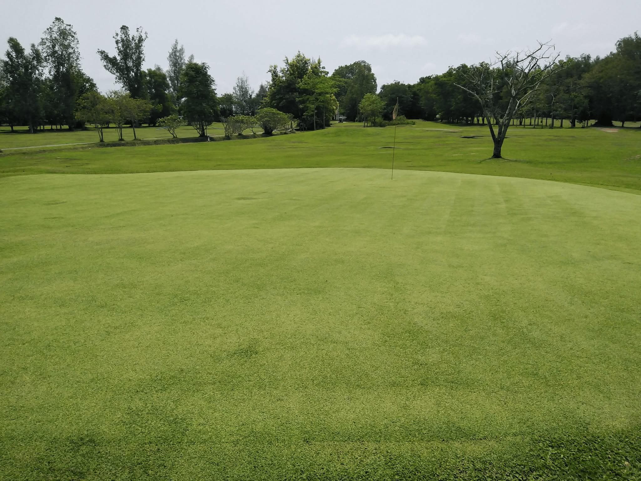 Pha Sing Air Force Golf Course (Nan Golf) fairway and green - golf course Thailand