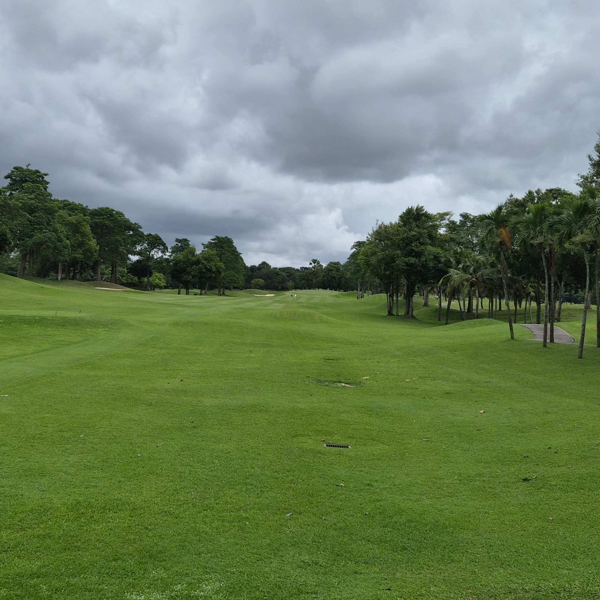 Golfer reviews for courseName