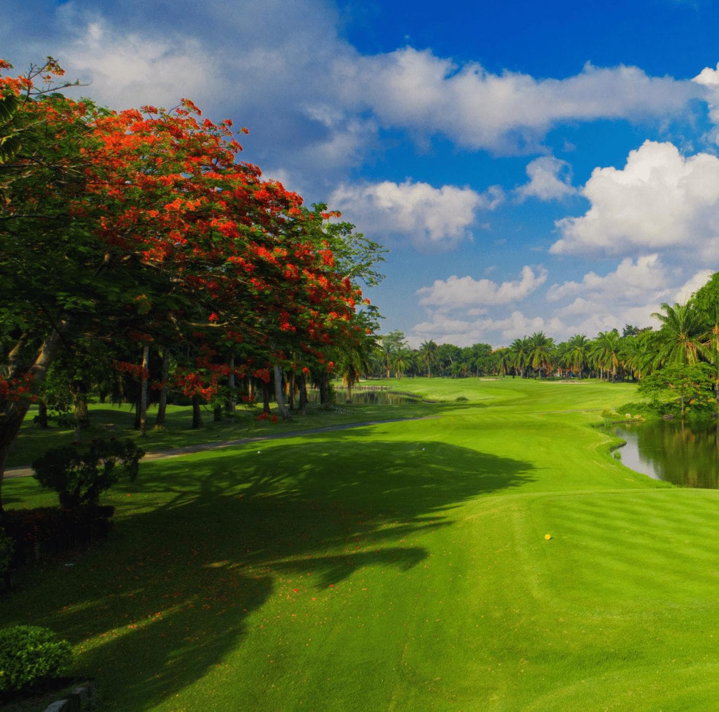 Explore golfing at SUBHAPRUEK 33rd ANNIVERSARY GOLF DAY